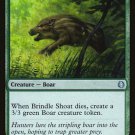 4 x Jumpstart Brindle Shoat (playset)