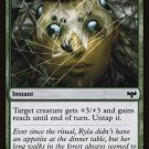 4 x Innistrad: Crimson Vow Witch's Web (Playset)