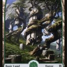 10 x Zendikar Rising Forest 279