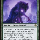 Adventures in the Forgotten Realms Werewolf Pack Leader