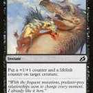 4 x Ikoria: Lair of Behemoths Unexpected Fangs (playset)