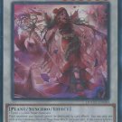 Doom of Dimension Rage Rose Witch (DOOD-EN040) Ultra Rare