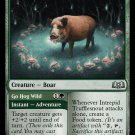 4 x Wilds of Eldraine Intrepid Trufflesnout (playset)