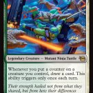 Teenage Mutant Ninja Turtles Mikey & Leo, Chaos & Order