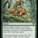 Commander Masters Hunter's Insight