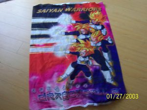 SAIYAN WARRIORS  FLAG