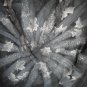 FREE SHIPING FASHIONABLE BLACK TOP WITH SILVER BROUNZE