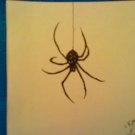 Black Widow