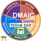 Operational Excellence at Pfizer - Lean Six Sigma Yellow Belt  training + YB Case Studies e-book