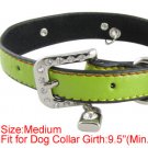 Pet Dog Sz M Green Faux Leather Band Personalized Collar