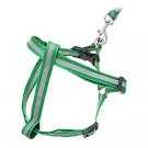 Step-In Nylon Dog Pet Safe Reflective Harness and Leash Set- Medium