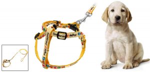 Cartoon Pet Dog Nylon Pulling Harness Leash Rope Yellow