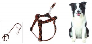 Pet Dog Nylon Pulling Harness and Leash Rope Leopard Color