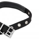 Black Leather Padded Adjustable Nylon Pet Dog Collar Medium
