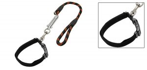 Medium Dog Nylon Adjustable Collar and Round Leash Set