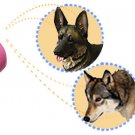 Electric Digital Ultrasonic Voice Recorder Dog Trainer Purple Pink