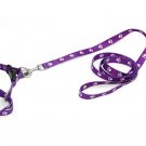 DOG Web Collar Harness Leash Strap for Small dogs - Moshi Moro Purple
