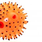 Vinyl Squeaker Hedgehog Pattern Fetch Chew Pet's Toy Ball