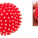 Rubber Squeaker Fetch Chew Dog Puppy Toy Ball