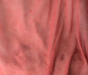 Chiffon Coral