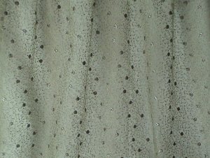 Chbika Olive