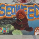 BEANIE BABIES Trading Card #130 Seaweed The Otter 1999 2nd Edition Series 3