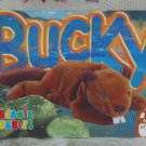 BEANIE BABIES Trading Card #67 Bucky The Beaver 1999 2nd Edition Series 3