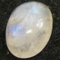 7.52 CT 14 x 10 mm Oval Moonstone