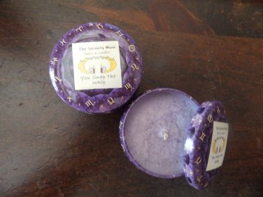 2 Oz. You Snap The Whip Soy Candle in Decorative Tin
