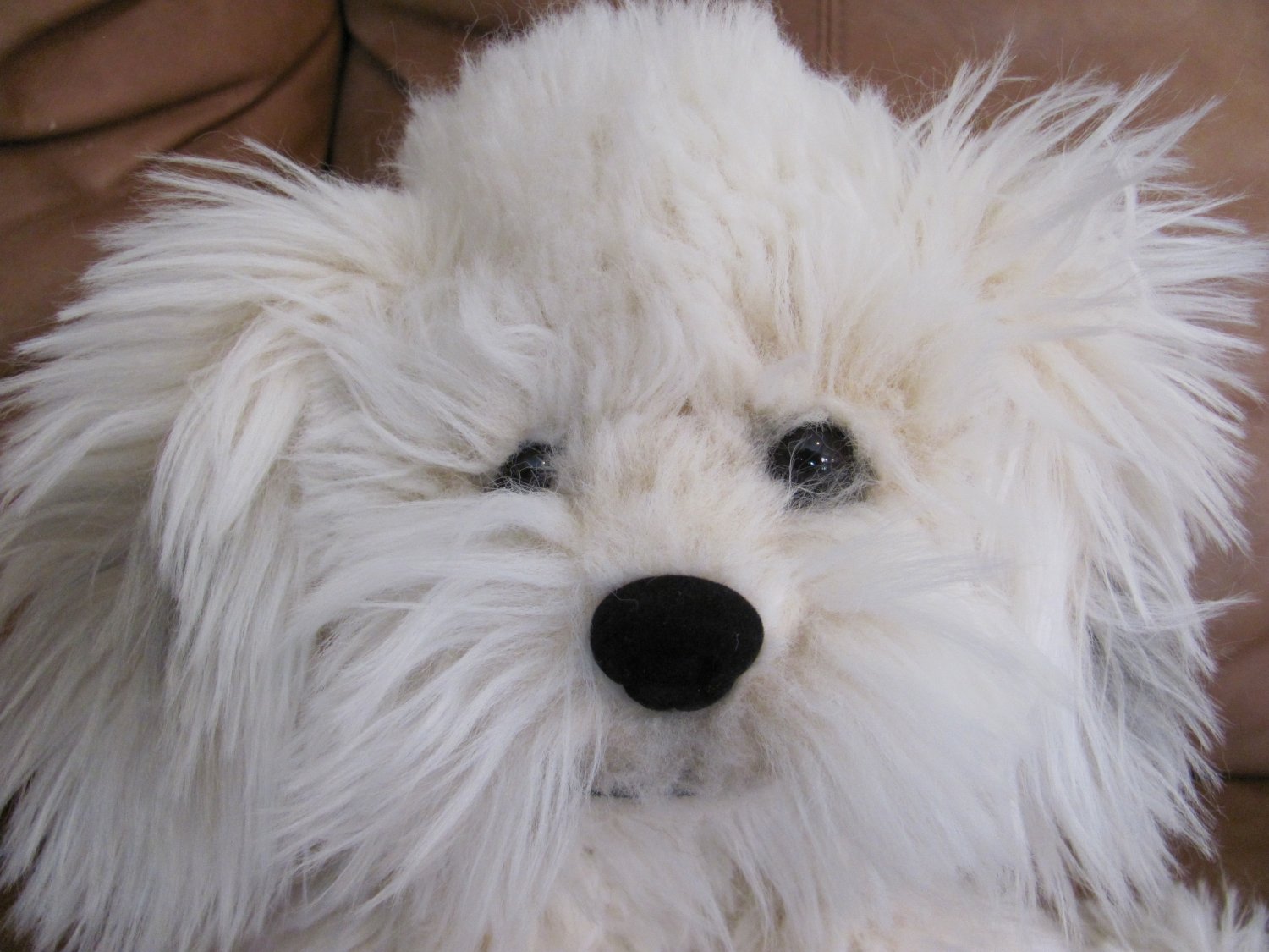 gund dreyfus dog