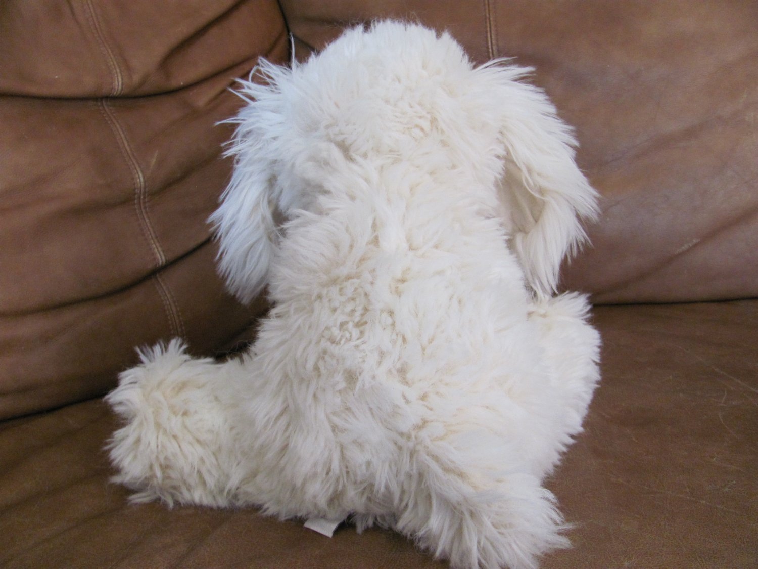 gund dreyfus dog