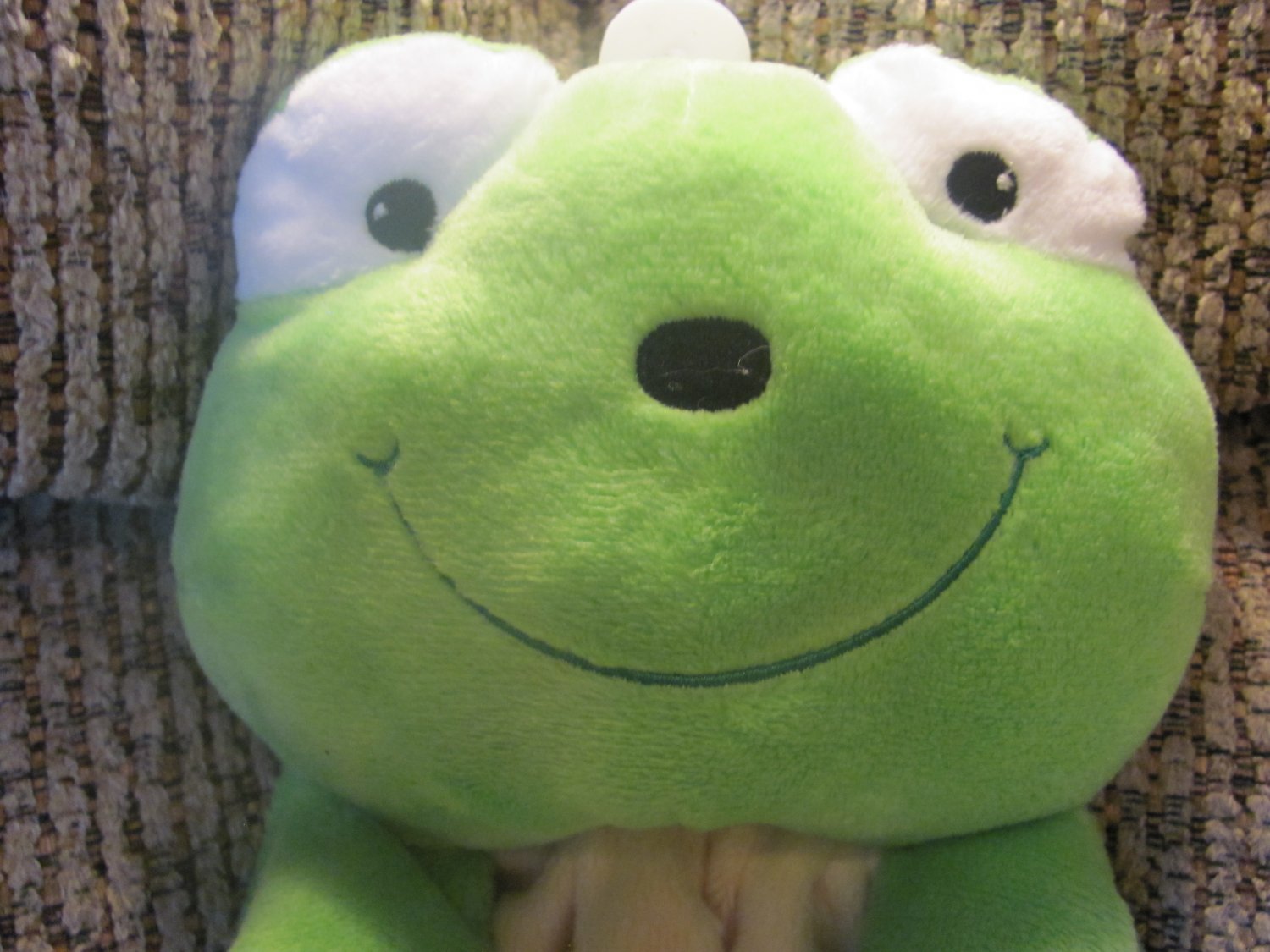 frog plush blanket