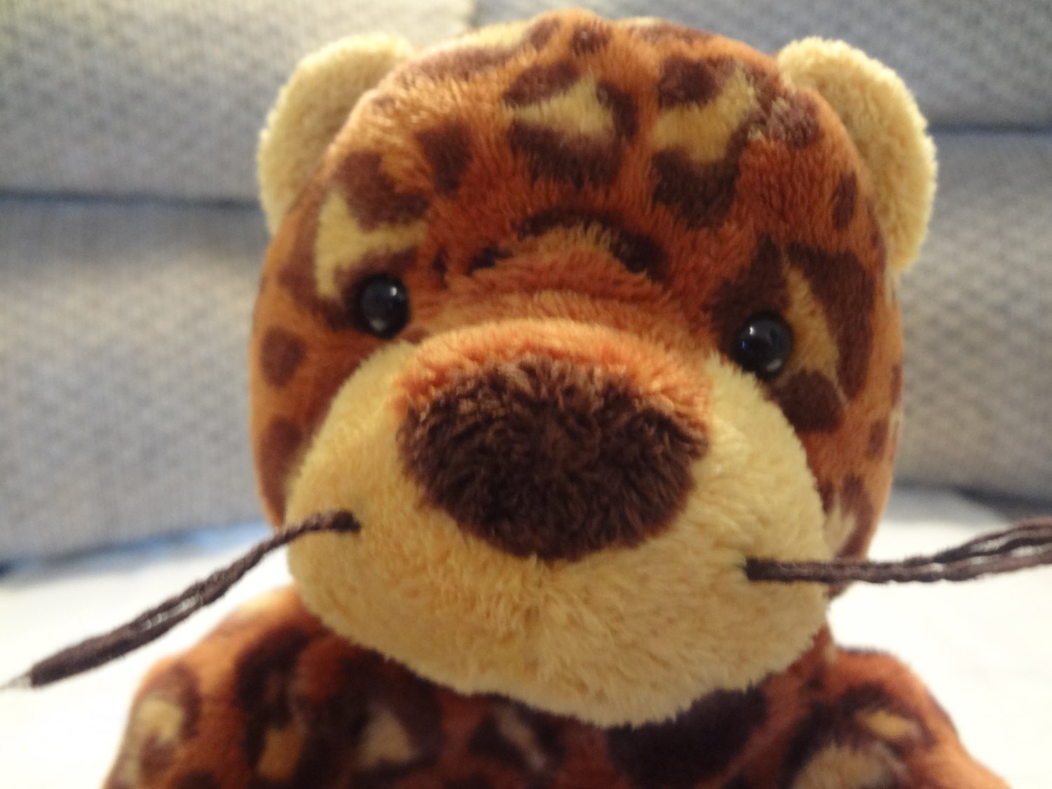 tylux monkey