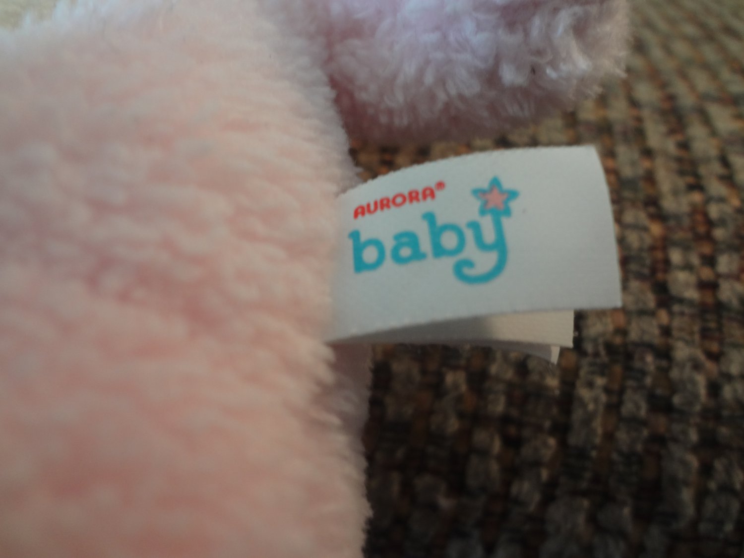 aurora baby monkey