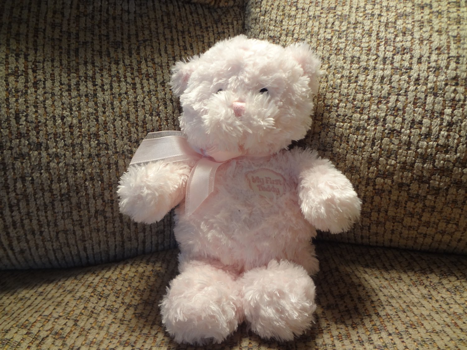 gund my first teddy bear