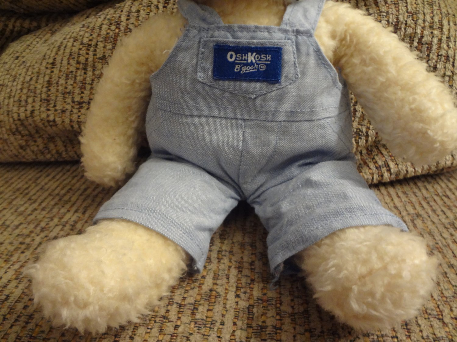 oshkosh teddy bear