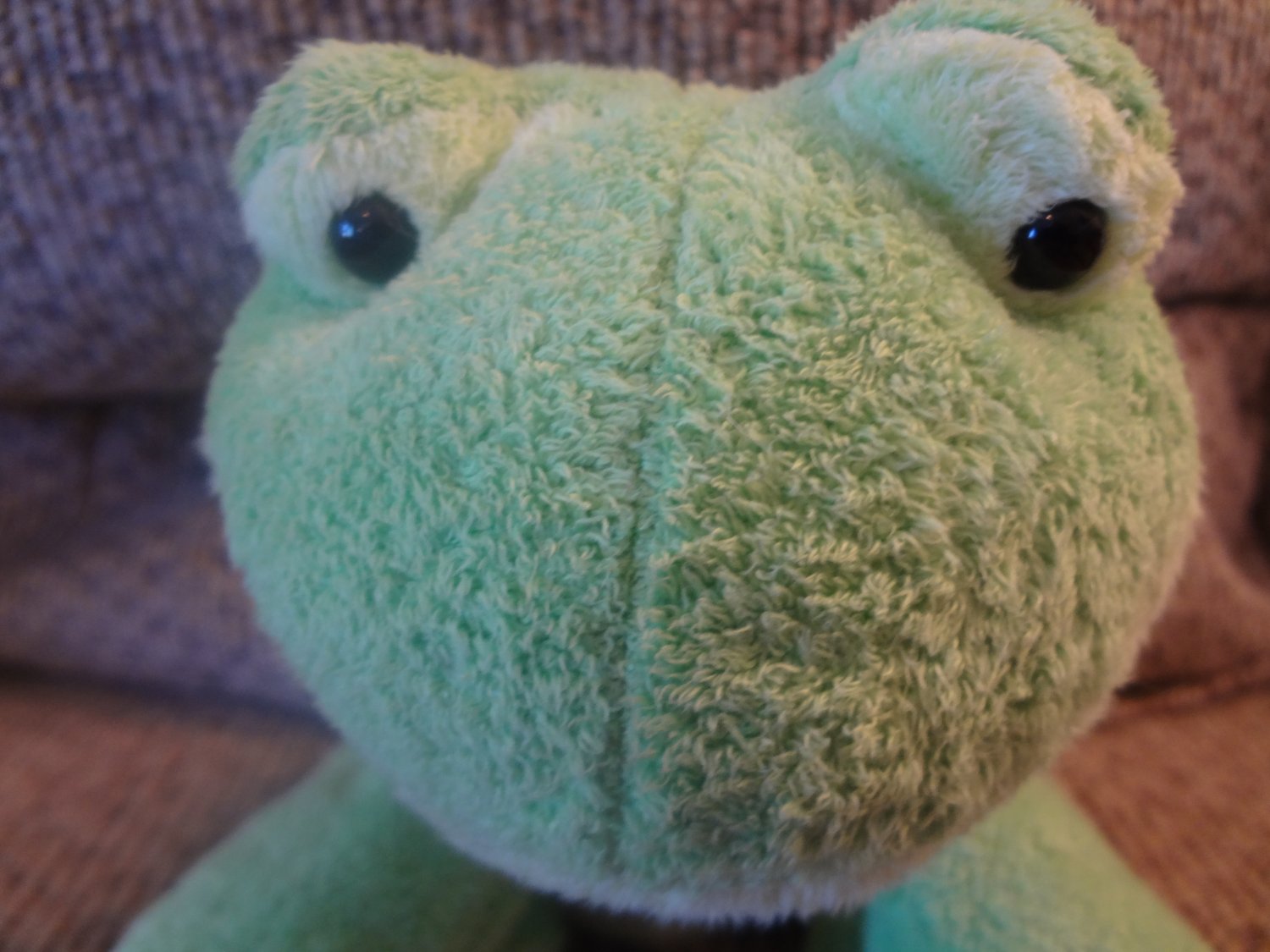 ty pluffies ponds frog