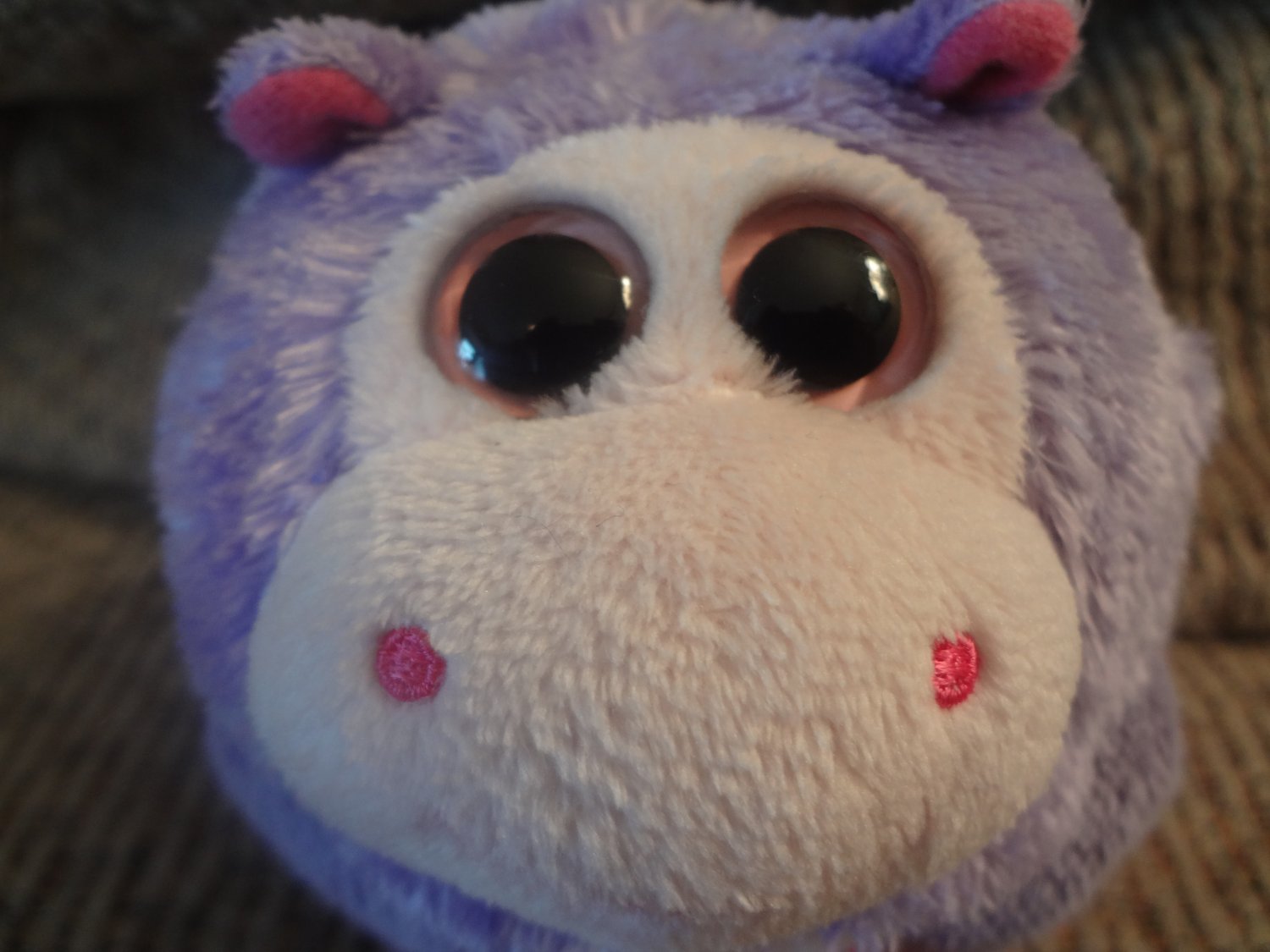 ty purple hippo