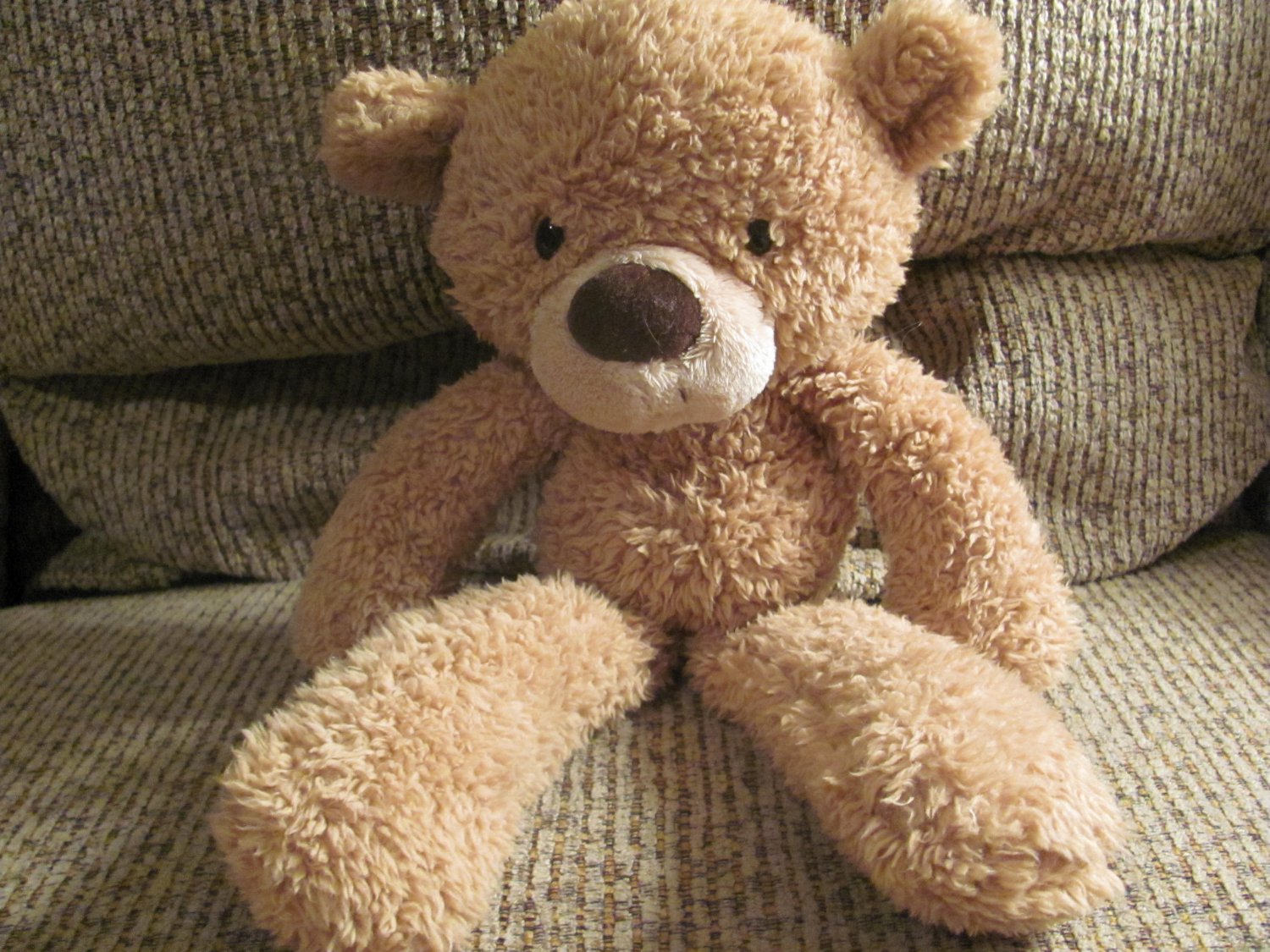 fuzzy gund bear