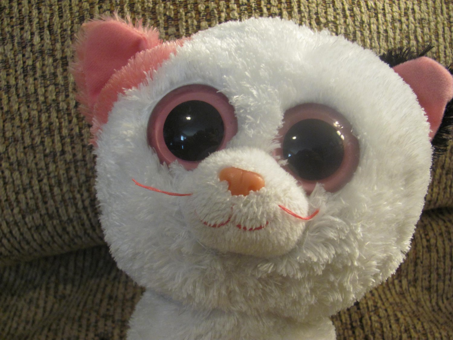 ty beanie boos muffin cat plush