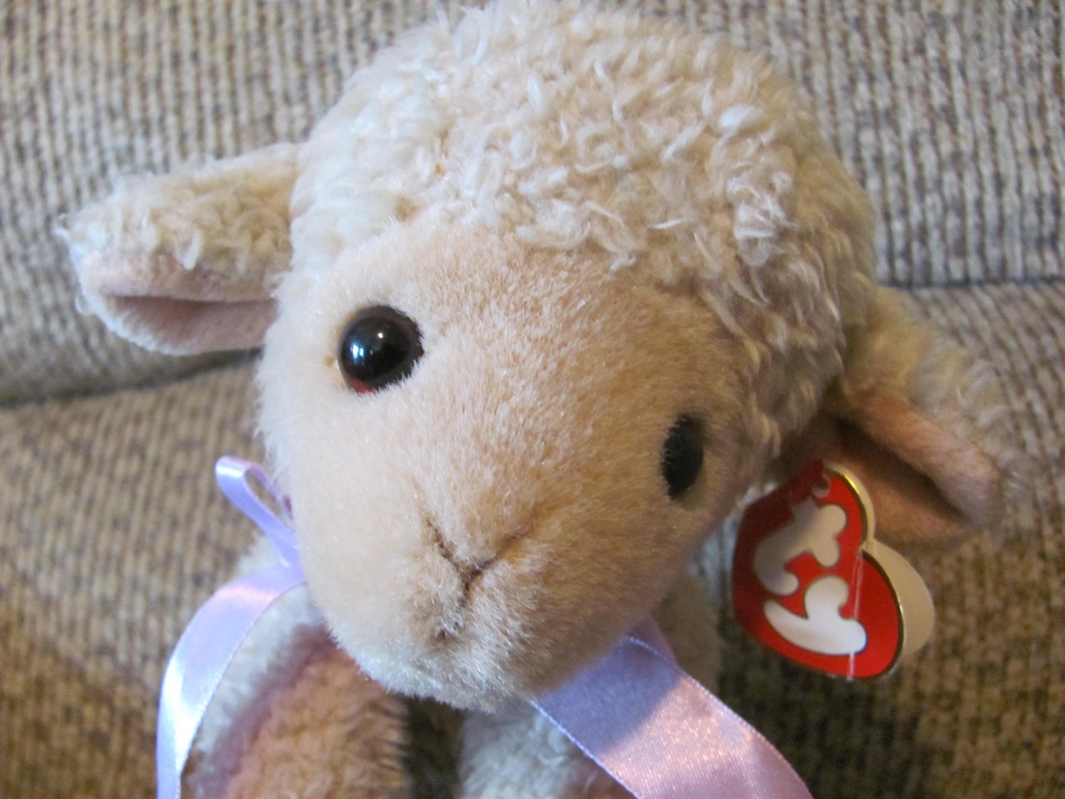ty purple lamb
