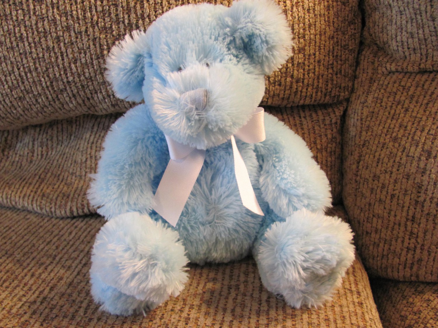 blue bear lovey