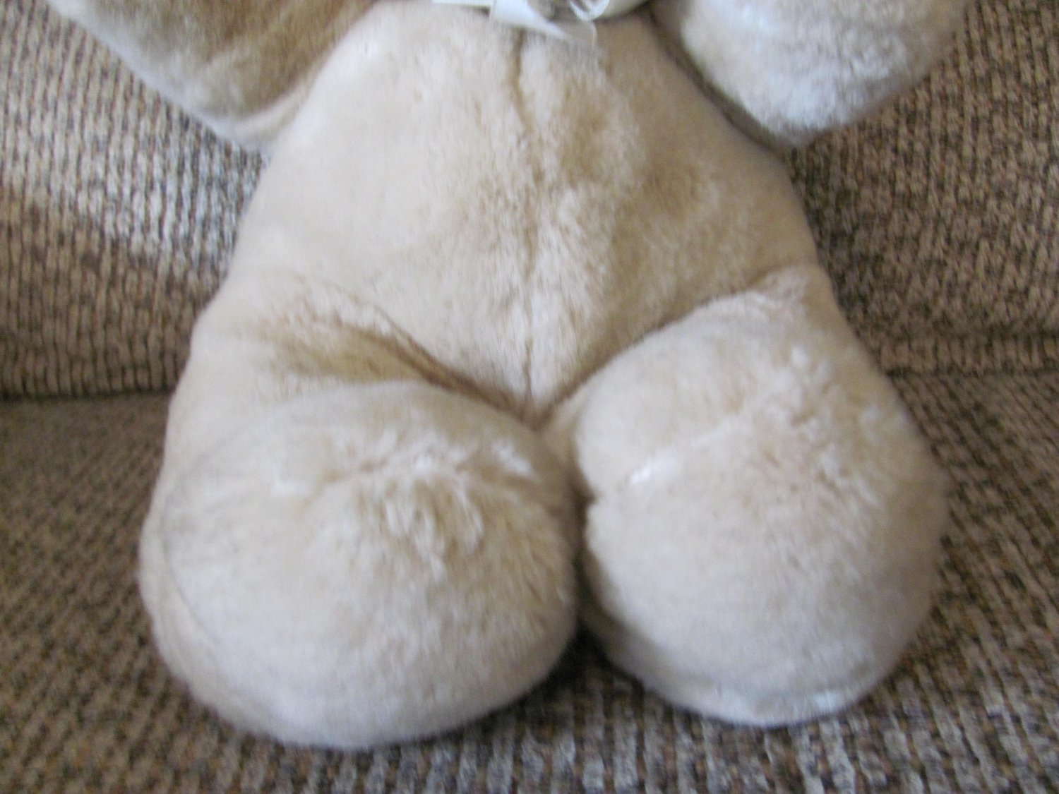 r dakin co teddy bear 1979