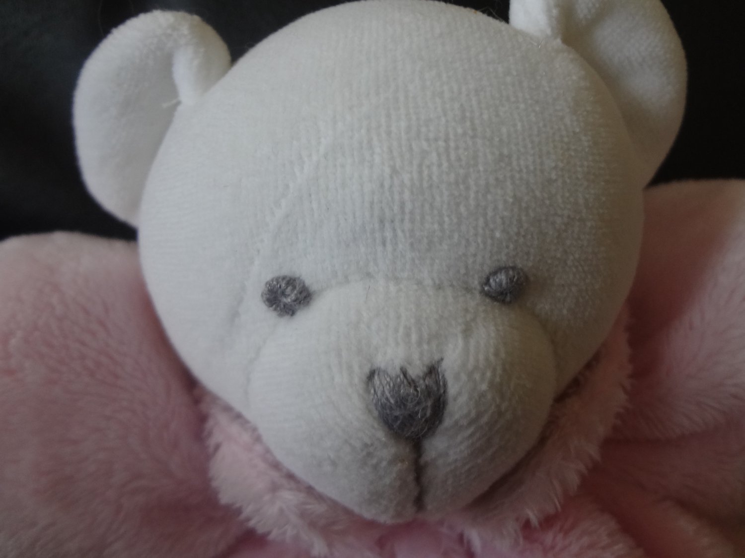 teddy bear with sewn eyes