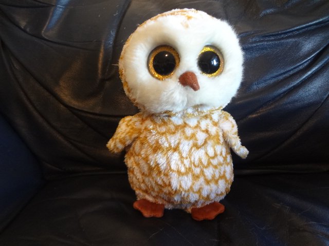 swoops ty owl