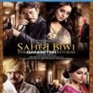 Saheb Biwi Aur Gangster Returns Hindi Blu Ray (2013/Jimmy shergill/Cinema/Film)