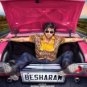 Besharam Hindi DVD