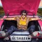 Besharam Hindi DVD (2013) (Bollywood Film/Cinema) Stg: Ranbir Kapoor