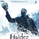 Haider Hindi Blu Ray (Shahid Kapoor, Tabu)(Bollywood/Films/Movies/2014)