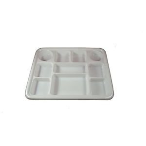 Disposable 10 compartments Party Tray/ Thali/ Plates - 100 Pack